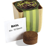 Flower Pot Set With Basil Seeds